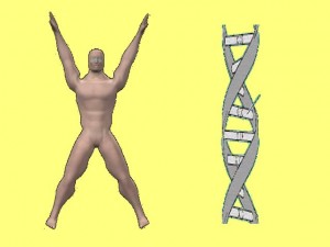 Ba_Gua_Strengthens_Spirals-HumanBodyDNAMolecule