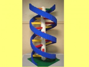 Ba_Gua_Strengthens_Spirals-LegoDNAMolecule