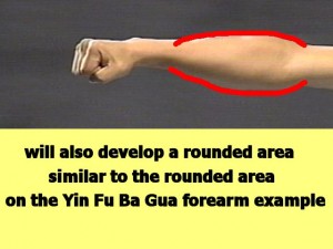 Ba_Gua_Strengthens_Spirals-LegsWillAlsoDevelop