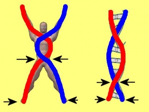 Ba_Gua_Strengthens_Spirals-LowerPartOfSpiral