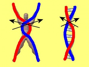 Ba_Gua_Strengthens_Spirals-SecondSpiralCrossover