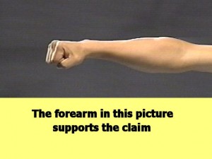Ba_Gua_Strengthens_Spirals-TheForearmInThis