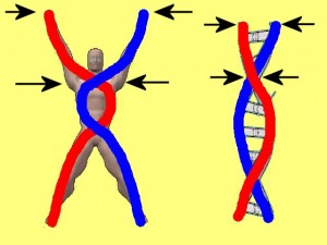 Ba_Gua_Strengthens_Spirals-UpperPartOfSpiral