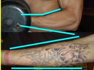 Ba_Gua_Strengthens_Spirals-WeightlifterForearmStraightAngular