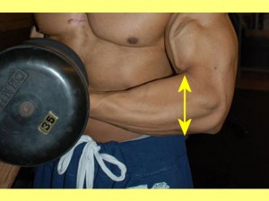 Ba_Gua_Strengthens_Spirals-WeightlifterForearmWideBase