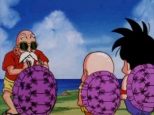 Dragonball_Episode_19-BiggerTurtleShells