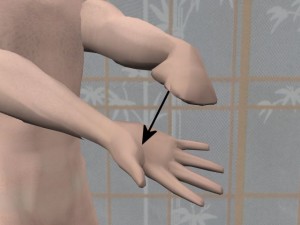 Knowledge_Of_Science_01-FingerVectorUnlabeled