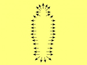 Knowledge_Of_Science_02-VectorBodyOutline