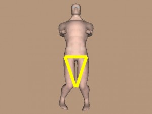 Knowledge_Of_Science_03-FrontUpperLegTriangle