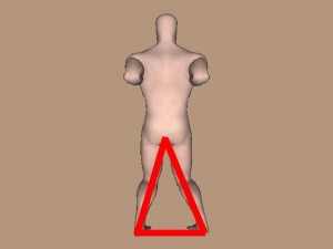Knowledge_Of_Science_03-RearLegTriangle