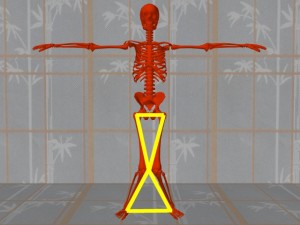 Knowledge_Of_Science_04-AlignedSkeletonLegTriangles