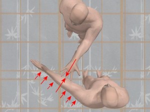 Knowledge_Of_Science_05-AttackArmMovesTanSauMoves