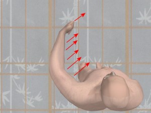 Knowledge_Of_Science_05-RoundHouseMovedMoreVectors
