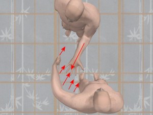 Knowledge_Of_Science_05-RoundHouseMovedTanSauAngled