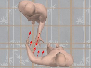 Knowledge_Of_Science_05-RoundHouseReadyTanSauAngled