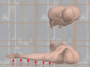 Knowledge_Of_Science_05-StraightArmPreStrikeVectors