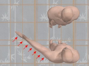 Knowledge_Of_Science_05-StraightArmStrikeStepOneVectors