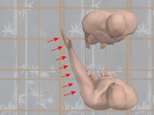 Knowledge_Of_Science_05-StraightArmStrikeStepTwoVectors