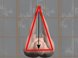 Kung_Fu_And_Trigonometry-CenteredArmsCenteredOnBody