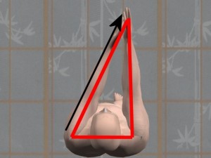 Kung_Fu_And_Trigonometry-HighlightLeftArmReaching