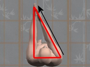 Kung_Fu_And_Trigonometry-HighlightReachingRightArm