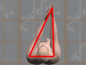 Kung_Fu_And_Trigonometry-LeftArmReachingTriangle