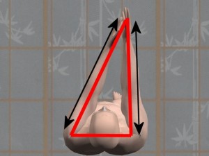 Kung_Fu_And_Trigonometry-LeftReachingArmsDifferentLengths