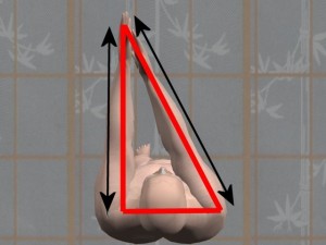 Kung_Fu_And_Trigonometry-RightReachingArmsDifferentLengths