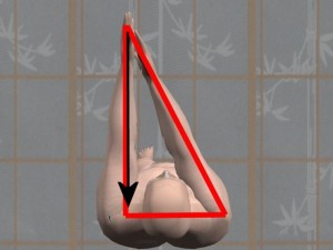 Kung_Fu_And_Trigonometry-RightReachingPeakOnLeft