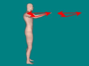 Martials_Arts_And_Physics-HighTanSauVectors