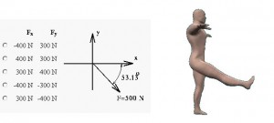 Martials_Arts_And_Physics-LegKickStaticsProblem