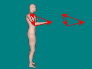 Martials_Arts_And_Physics-LowTanSauVectors
