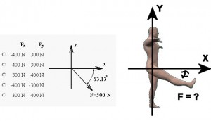 Martials_Arts_And_Physics-StaticsProblemOnKick