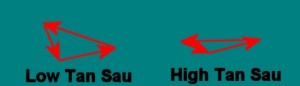 Martials_Arts_And_Physics-TanSauVectorsDifferent