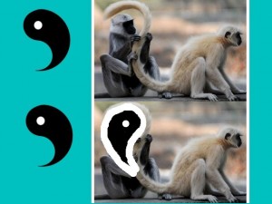 Secret_Of_Yin_Yang_Symbol_001-YinYangMonkeyTail
