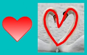 Secret_Of_Yin_Yang_Symbol_002-HeartSwanShapeCompare