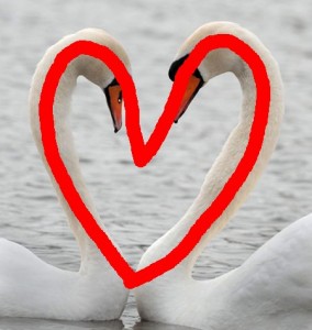 Secret_Of_Yin_Yang_Symbol_002-SwansHeartShape