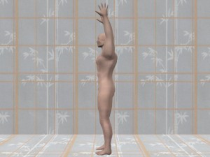 Secret_Of_Yin_Yang_Symbol_004-ArmsOverheadProfileView