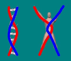 Single_Cylinder_Derivation-DNASpiralsOnMan