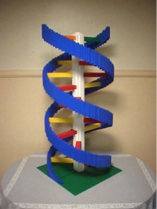 Single_Cylinder_Derivation-LegoDNAMoleculeFrontView