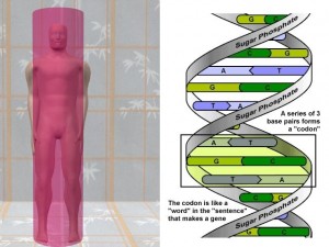 Single_Cylinder_Derivation-SingleCylinderDNAMolecule