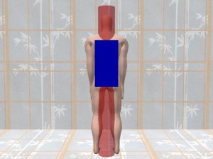 Single_Cylinder_Proper_Orientation-ShoulderButtocksRectangularShape