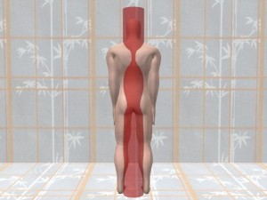 Single_Cylinder_Proper_Orientation-SmallSingleCylinderRearView