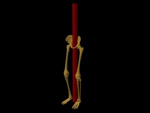 Single_Cylinder_Skeleton_Derivation-LowerSkeletonSingleCylinderAngledView