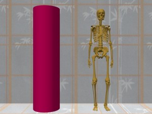Single_Cylinder_Skeleton_Derivation-SingleCylinderSkeletonCompare