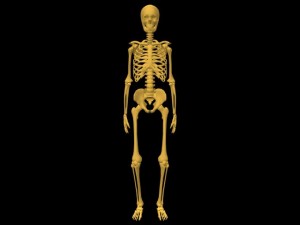 Single_Cylinder_Skeleton_Derivation-SkeletonFrontView
