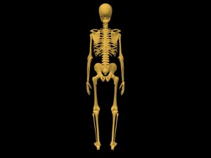 Single_Cylinder_Skeleton_Derivation-SkeletonRearView