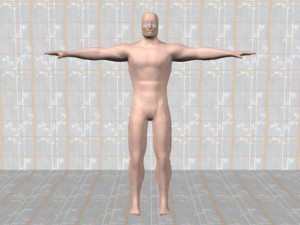 Single_Cylinder_View_Definition-HumanBodyFrontView