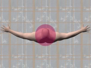 Single_Cylinder_View_Definition-TranparentCylinderBodyOverheadView