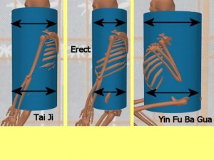 Stability_Ba_Gua_Stance-AllThreeStances
